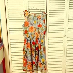 Beautiful knee length Dress!!